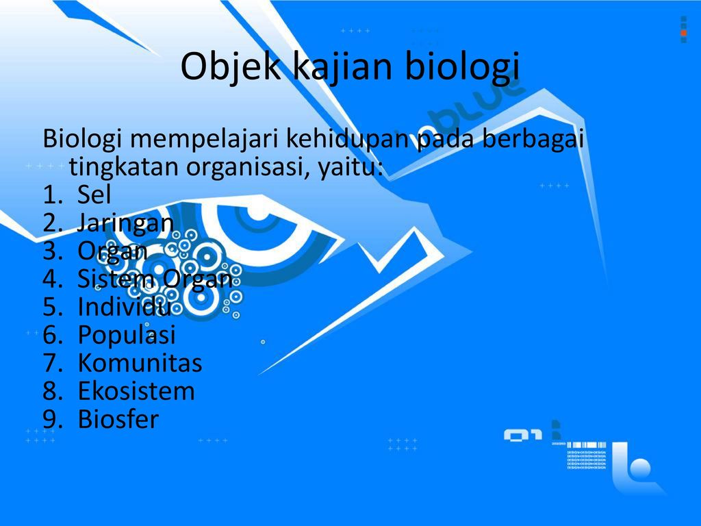 Detail Gambar 10 Objek Permasalahan Ruang Lingkup Biologi Nomer 39