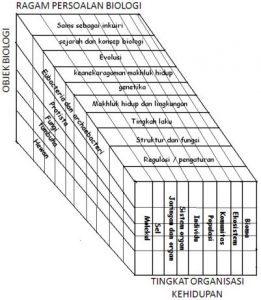 Detail Gambar 10 Objek Permasalahan Ruang Lingkup Biologi Nomer 5