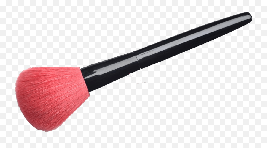 Detail Blush Makeup Nomer 10
