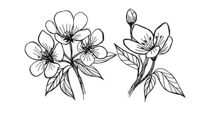 Detail Gambar 2 Dimensi Bunga Yang Mudah Ditiru Dan Berwarna Nomer 17