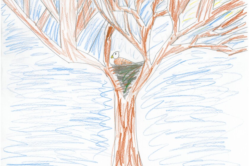 Detail Gambar 2 Dimensi Pohon Nomer 30