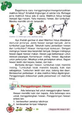 Detail Gambar 2 Spesies Hidup 1 Lingkungan Nomer 11