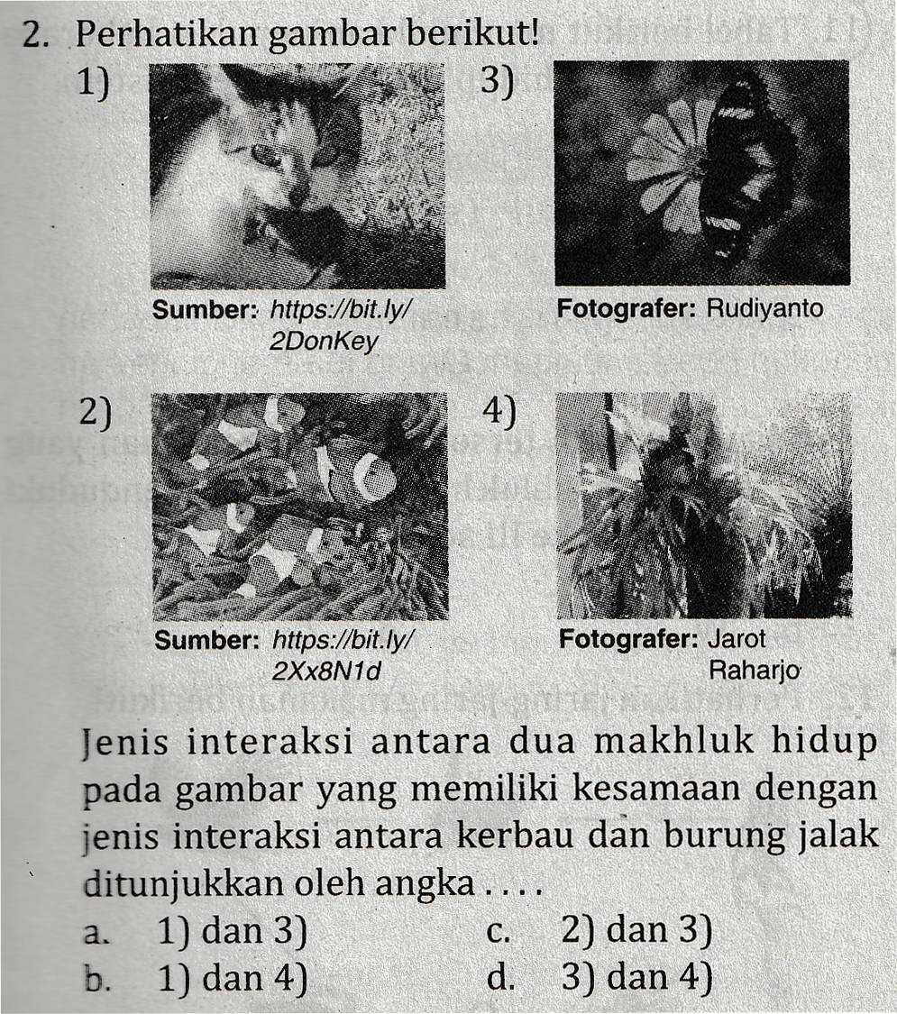 Detail Gambar 2 Spesies Hidup 1 Lingkungan Nomer 12