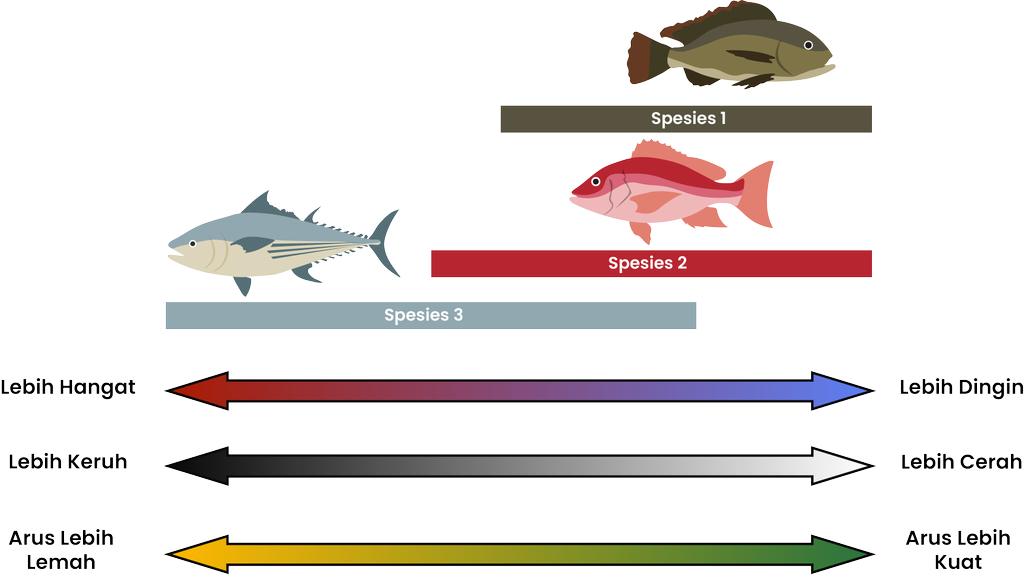 Detail Gambar 2 Spesies Hidup 1 Lingkungan Nomer 52