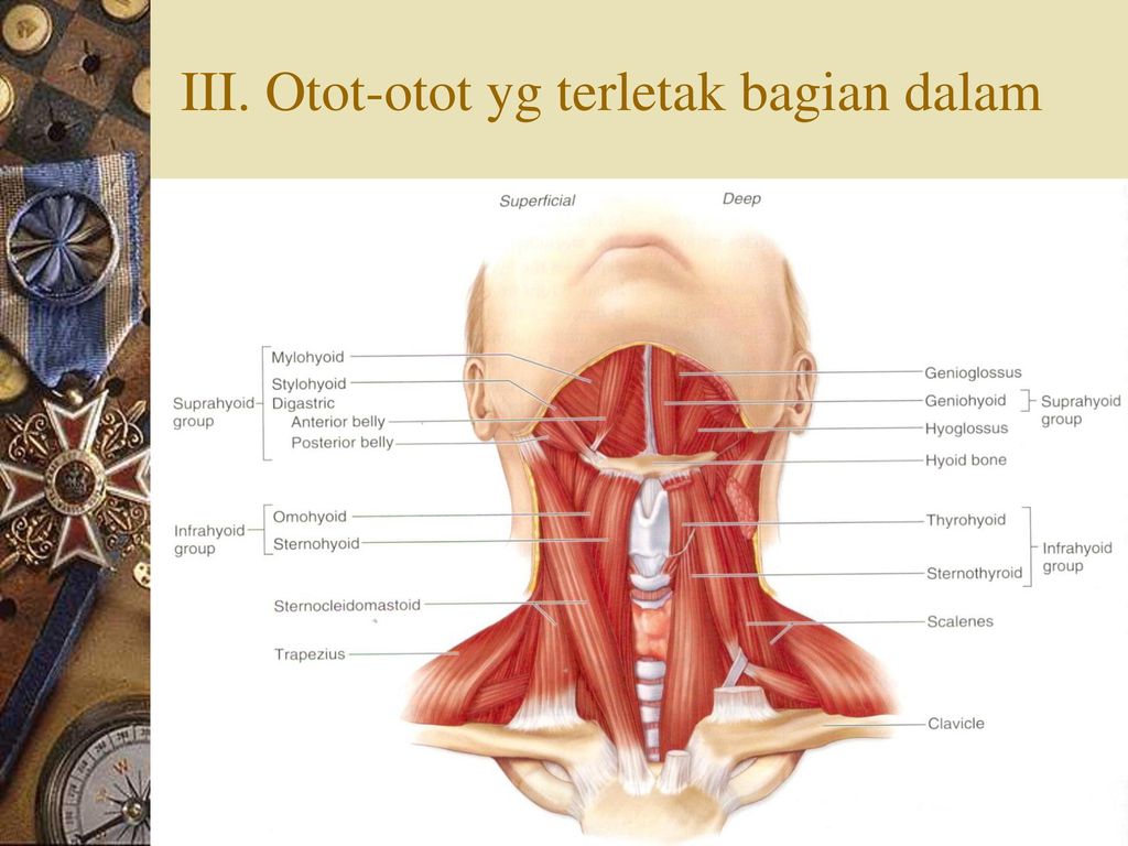 Detail Gambar 3 Bagian Oto Nomer 43