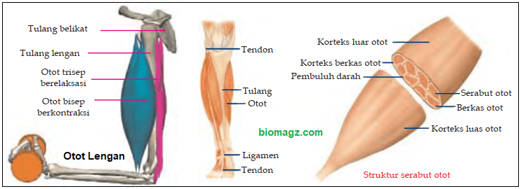 Detail Gambar 3 Bagian Oto Nomer 47