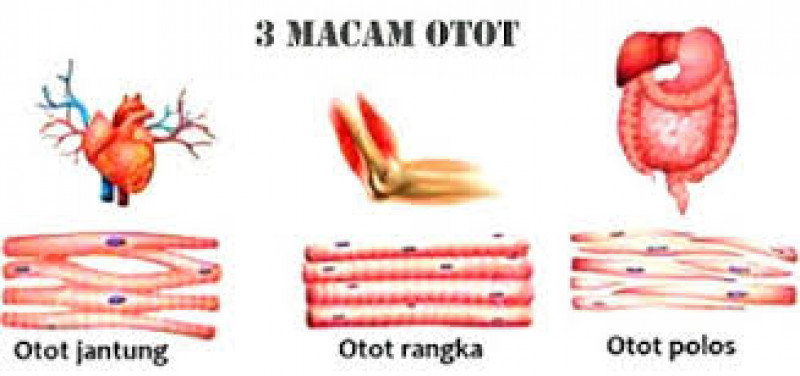 Detail Gambar 3 Bagian Oto Nomer 6