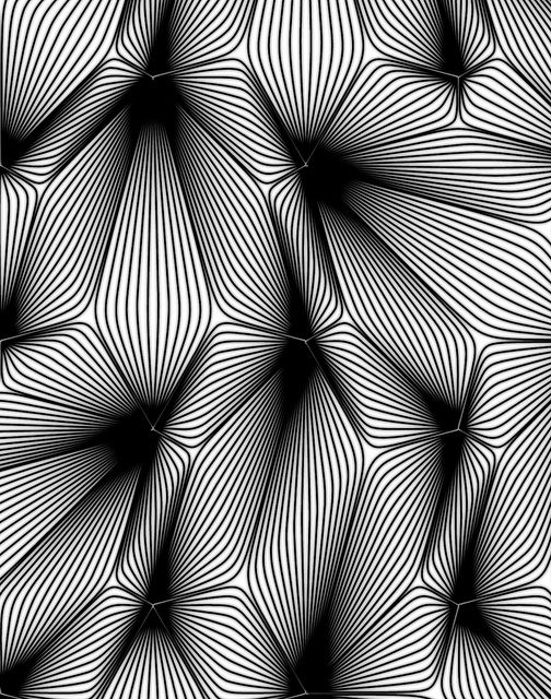 Detail Gambar 3 Dimensi Hitam Putih Nomer 51