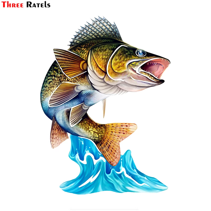 Detail Gambar 3d Ikan Nomer 10