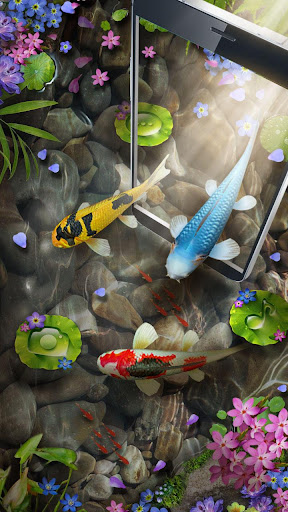 Detail Gambar 3d Ikan Koi Dalam Kolam Nomer 9