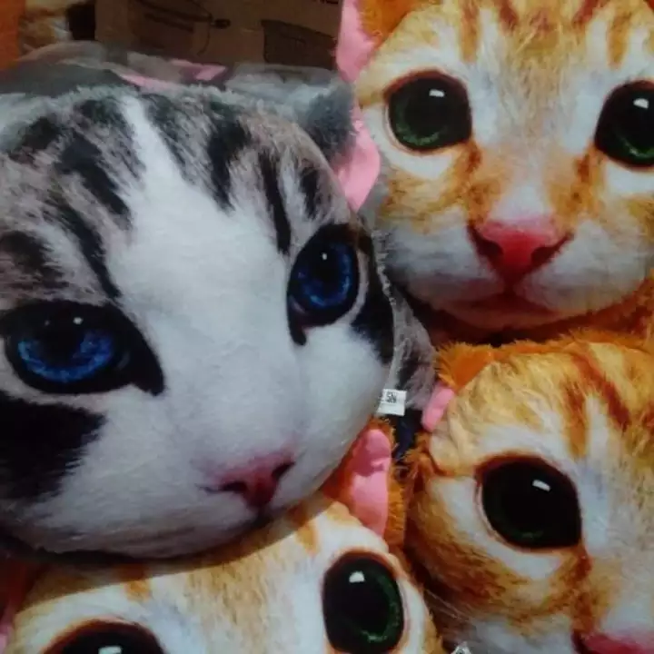 Detail Gambar 3d Kucing Nomer 47