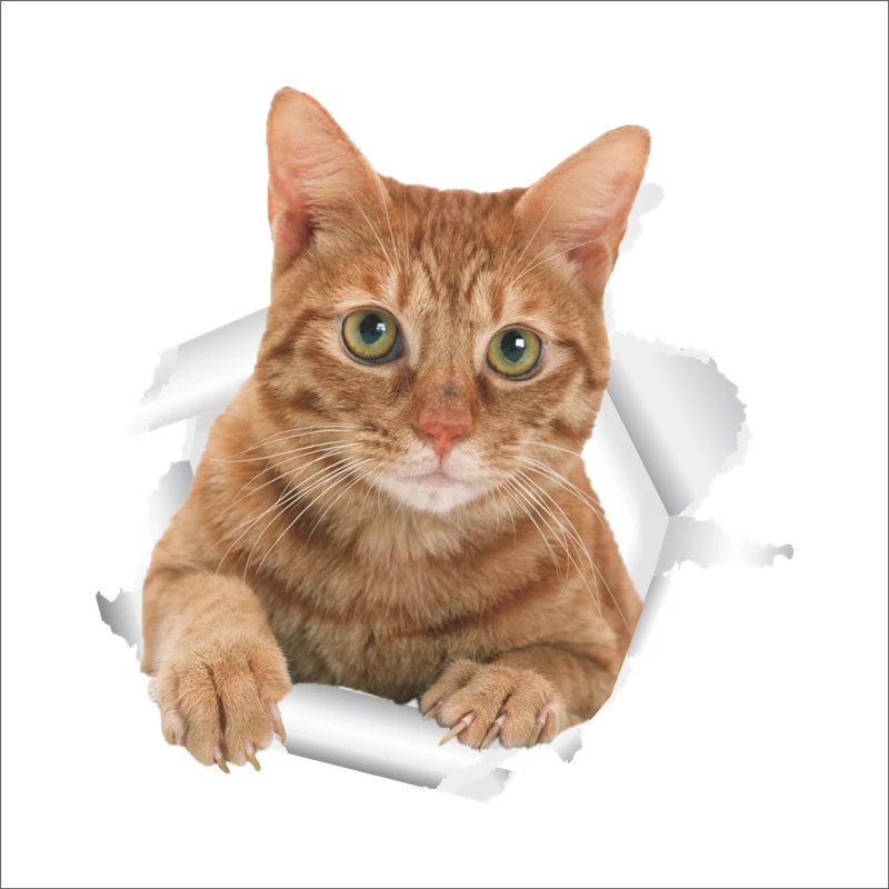 Detail Gambar 3d Kucing Nomer 56