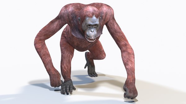 Detail Gambar 3d Orang Utan Nomer 11