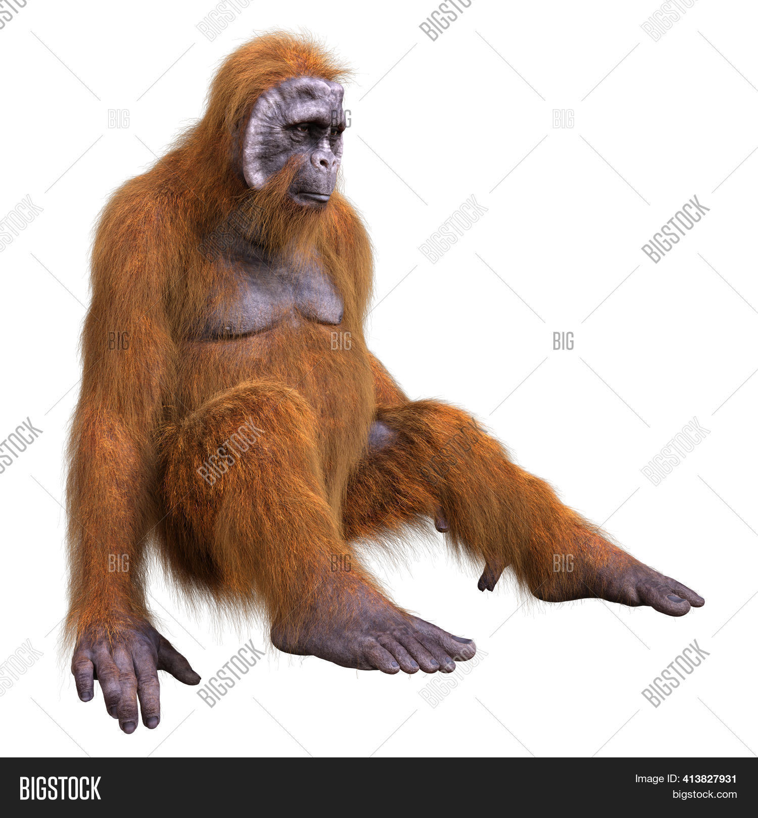 Detail Gambar 3d Orang Utan Nomer 37