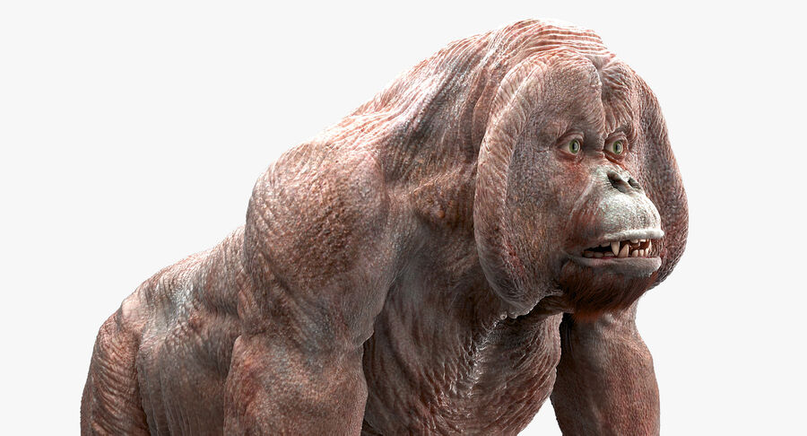 Detail Gambar 3d Orang Utan Nomer 6