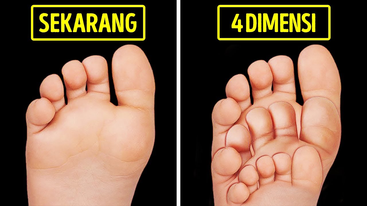 Detail Gambar 4 Dimensi Nomer 13