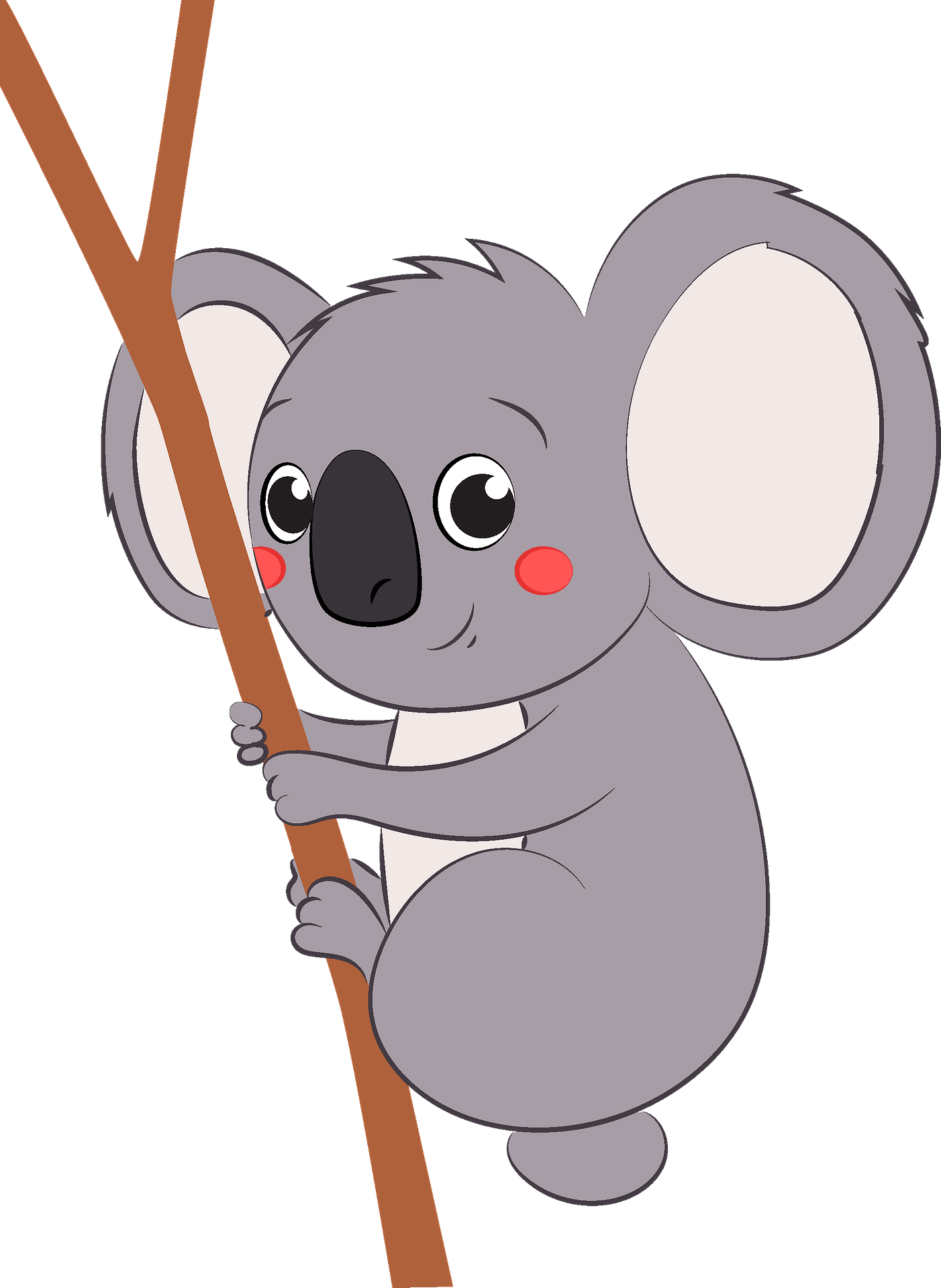 Detail Koala Bilder Nomer 6