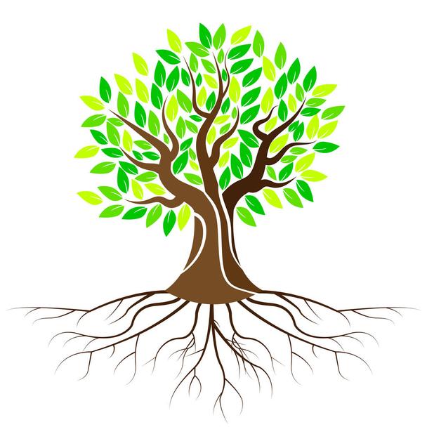 Detail Powerpoint Baum Nomer 23