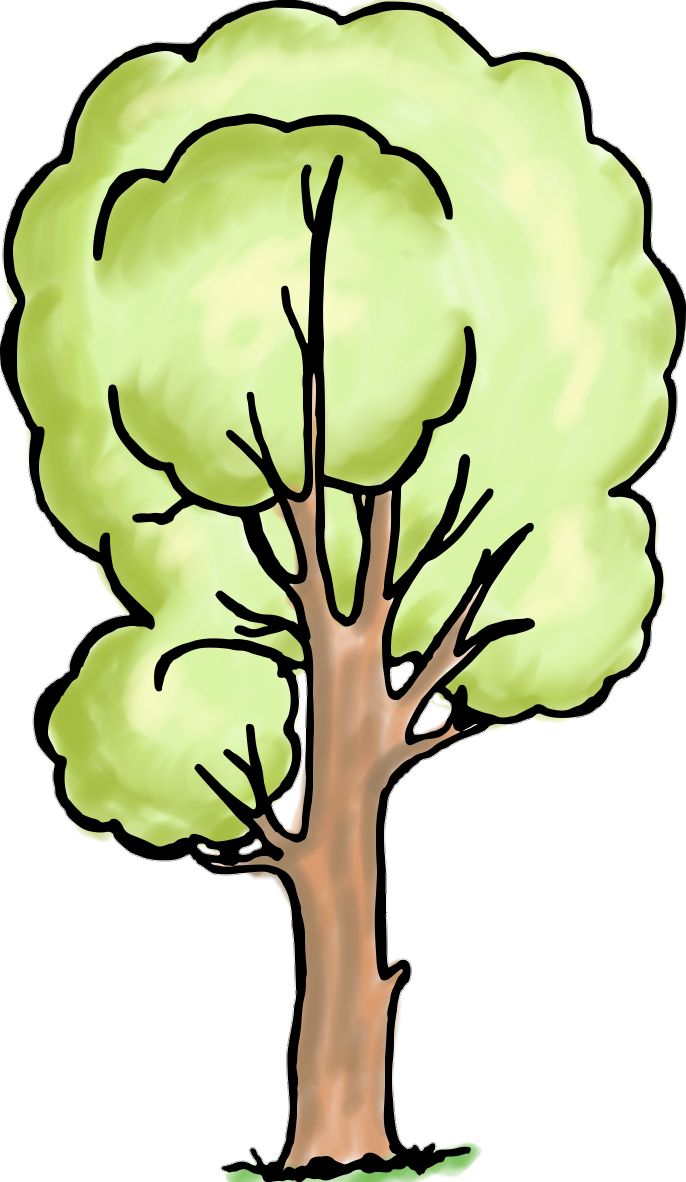 Detail Powerpoint Baum Nomer 6