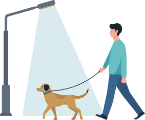 Detail Aski Hund Nomer 4