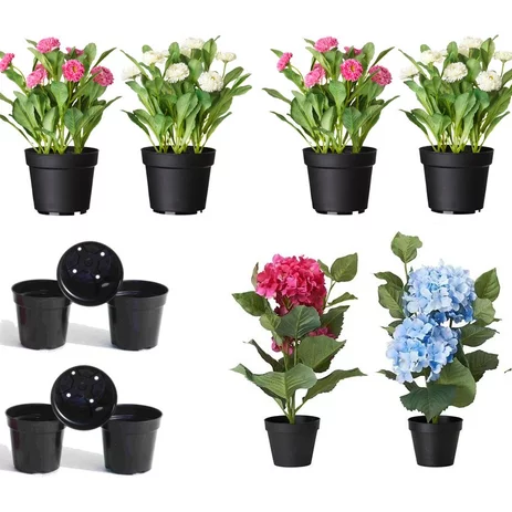 Detail Bunga Dalam Pot Kecil Nomer 27