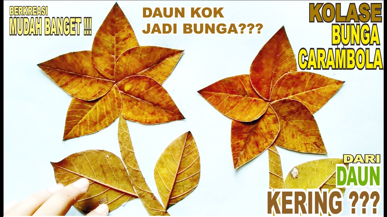 Bunga Dari Daun Kering - KibrisPDR