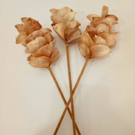 Bunga Dari Kulit Bawang - KibrisPDR