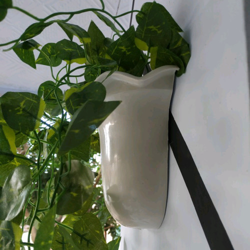 Detail Bunga Di Pot Nomer 52