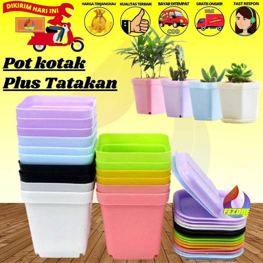 Detail Bunga Di Pot Kecil Nomer 52