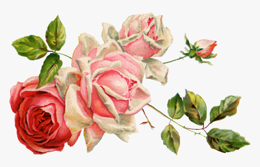 Detail Bunga Format Png Nomer 3