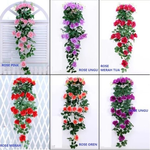 Detail Bunga Gantung Merambat Nomer 12