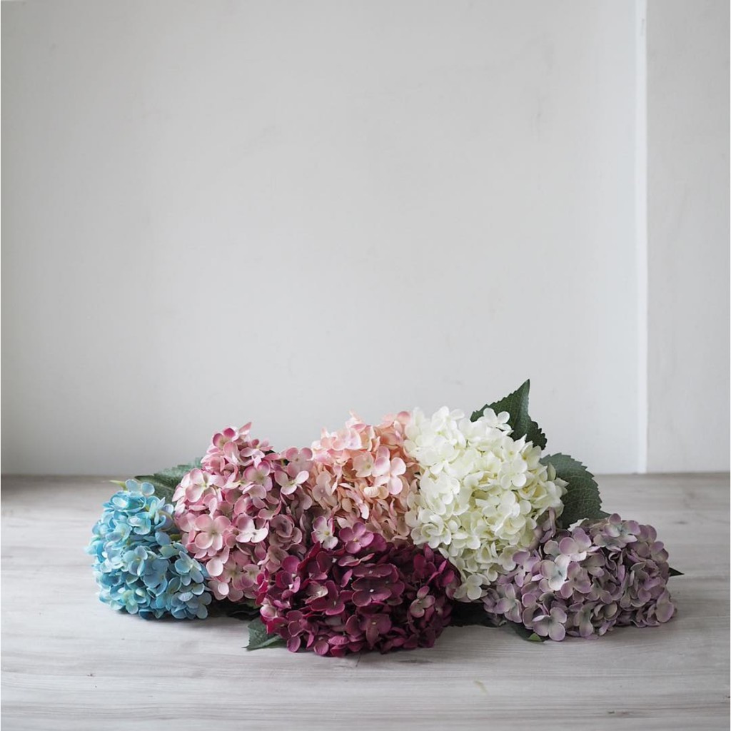 Detail Bunga Hydrangea Nomer 53