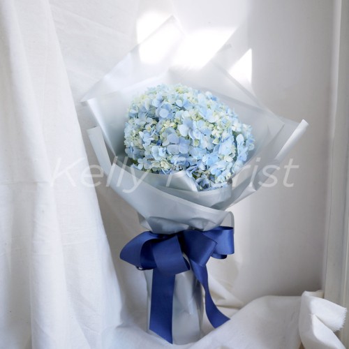Detail Bunga Hydrangea Biru Nomer 27