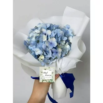 Detail Bunga Hydrangea Biru Nomer 38