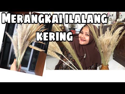 Detail Bunga Ilalang Kering Nomer 27