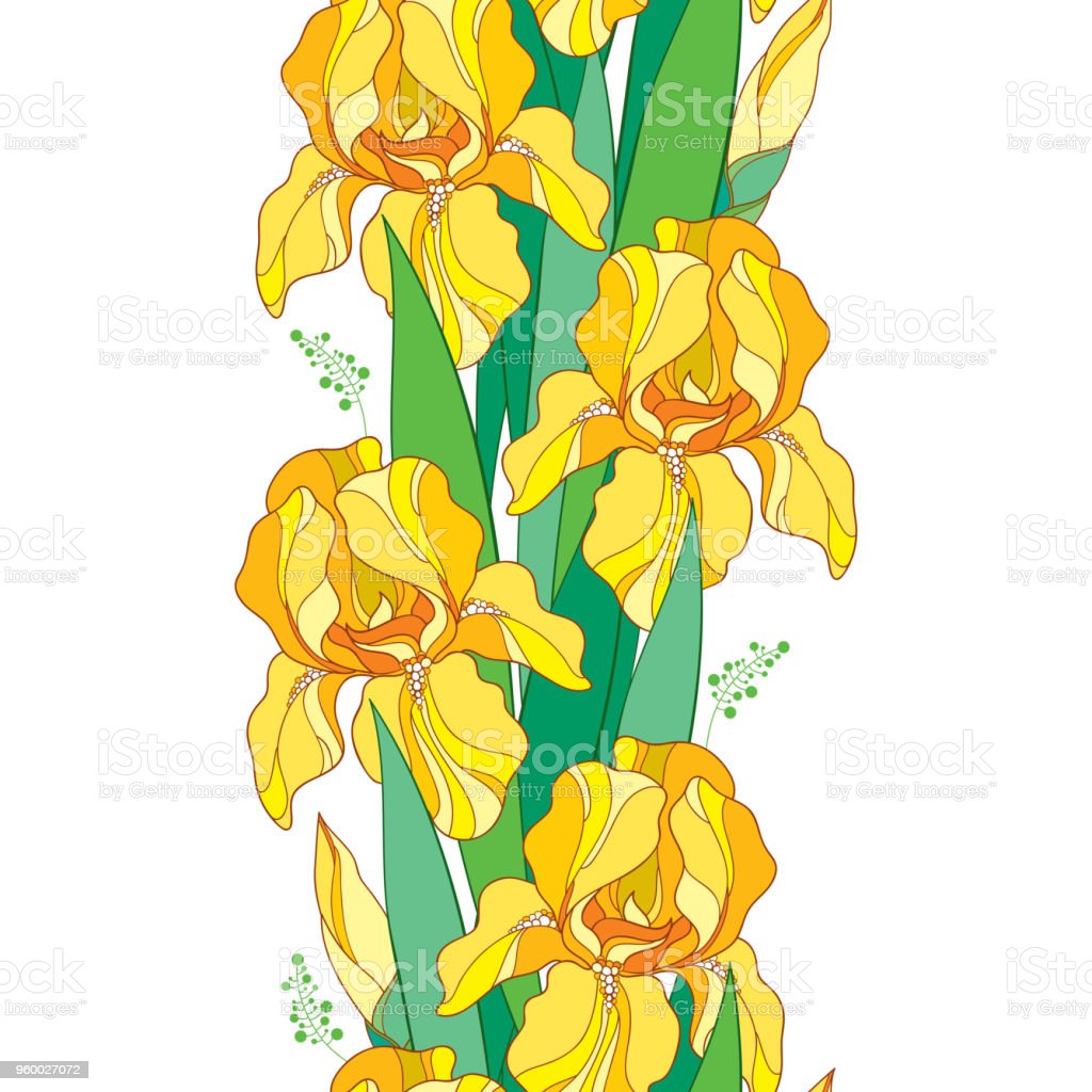 Detail Bunga Iris Kuning Nomer 50