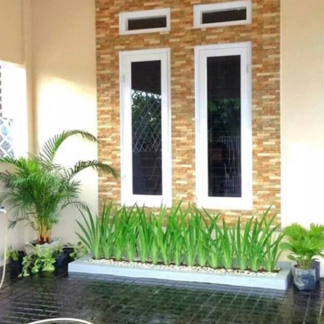 Detail Bunga Iris Kuning Nomer 55