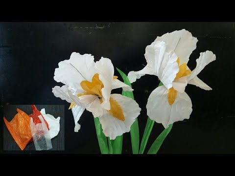 Detail Bunga Iris Putih Nomer 24