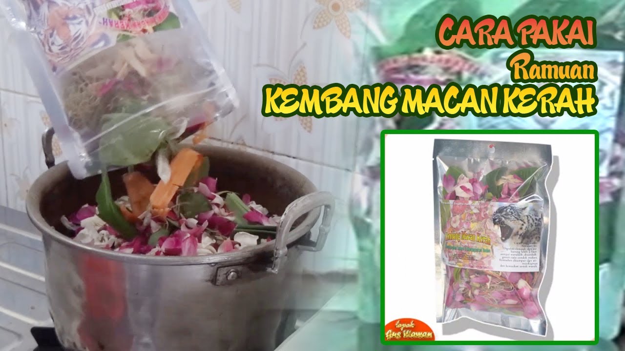 Detail Bunga Kera Macan Nomer 26