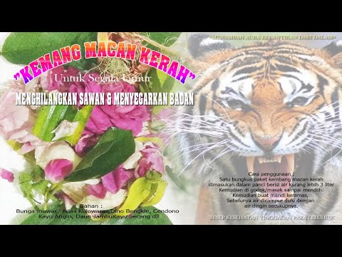 Detail Bunga Kera Macan Nomer 33