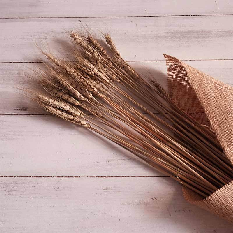 Detail Bunga Kering Rustic Nomer 45
