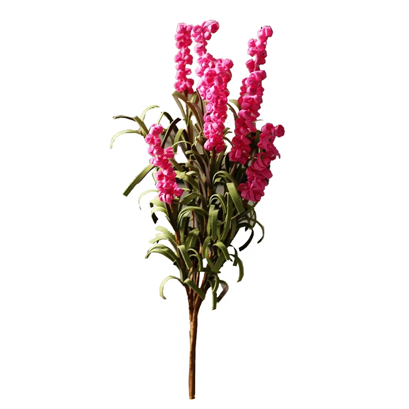 Detail Bunga Lavender Merah Nomer 15