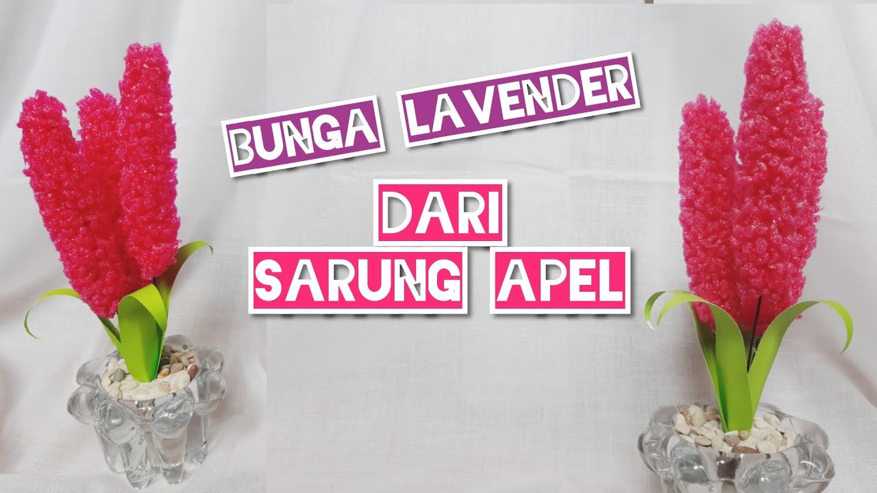 Detail Bunga Lavender Merah Nomer 19