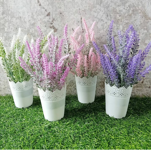 Detail Bunga Lavender Putih Nomer 40