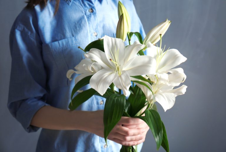 Detail Bunga Lily Putih Nomer 16