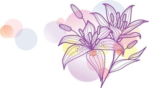 Detail Bunga Lily Vector Nomer 22