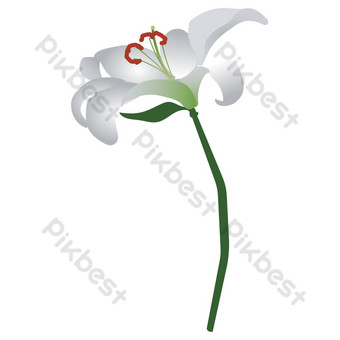 Detail Bunga Lily Vector Nomer 25