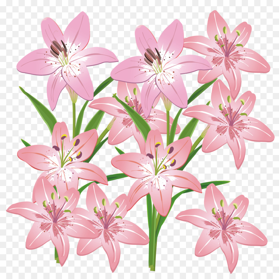 Detail Bunga Lily Vector Nomer 29