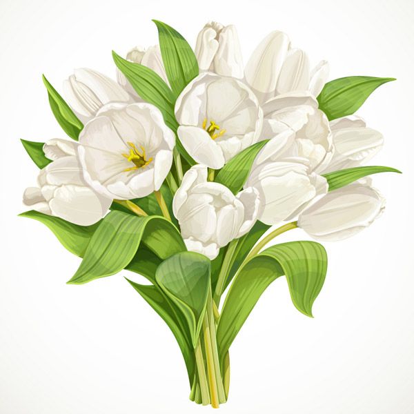Detail Bunga Lily Vector Nomer 33