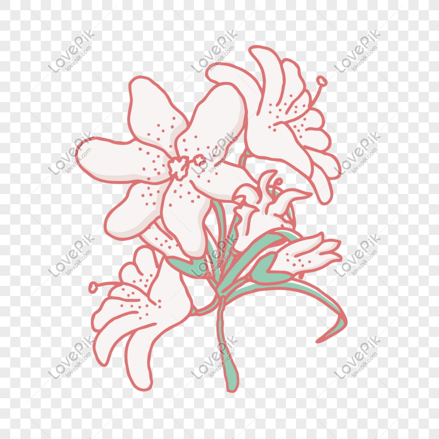 Detail Bunga Lily Vector Nomer 34